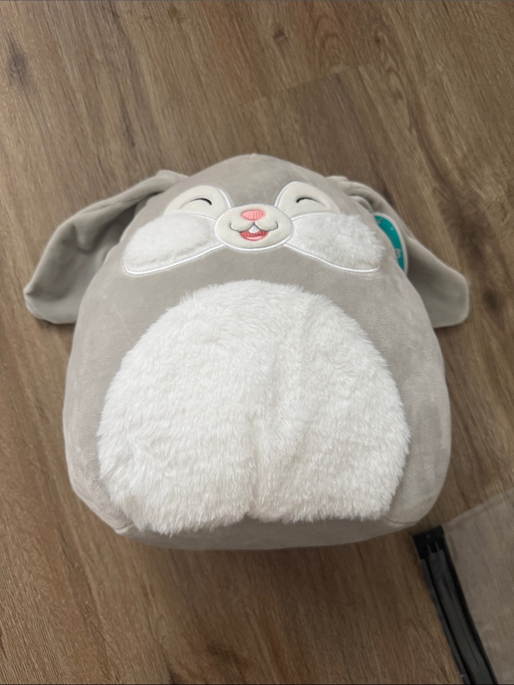 Squishmallows Gray and White Bunny Plush